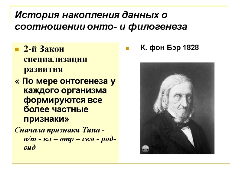 История накопления данных о соотношении онто- и филогенеза 2-й Закон специализации развития « История накопления данных о соотношении онто- и филогенеза 2-й Закон специализации развития «